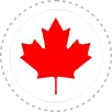 خدمات طراحی سایت افروز وب در کانادا